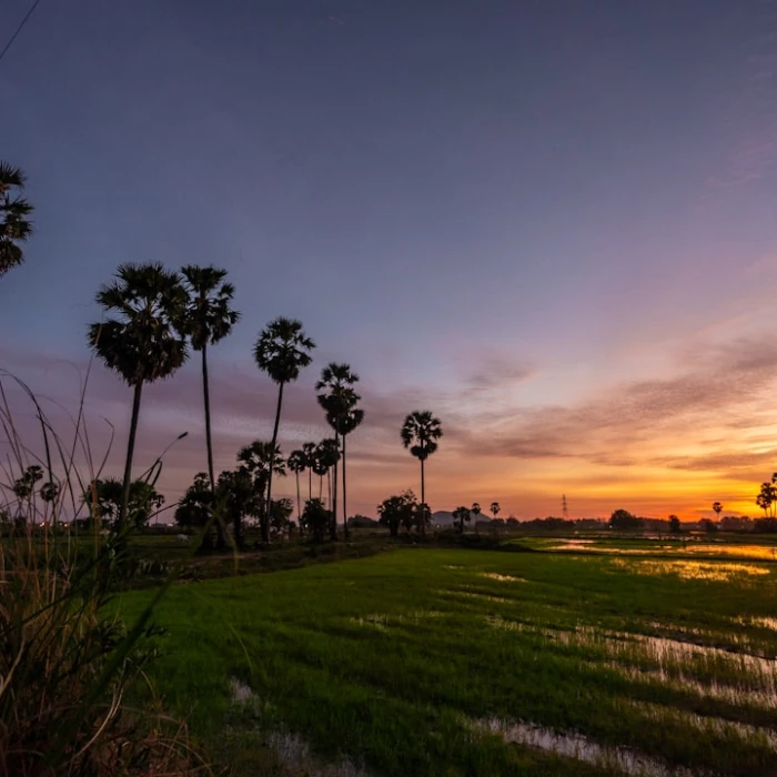 Discover Cambodia's Most Breathtaking Scenic Drives