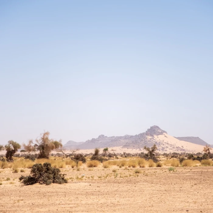 Essential Arabic Phrases: Your Guide to a Seamless Trip in Mauritania