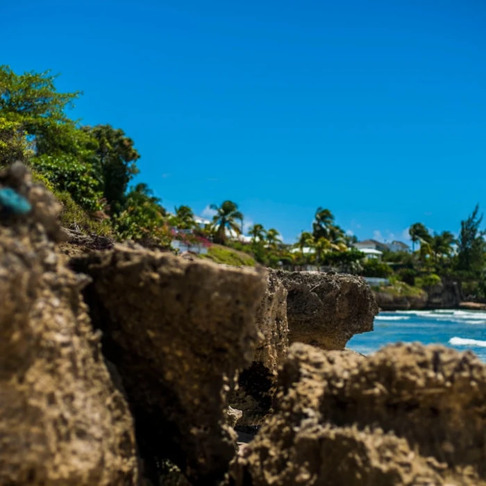 Unforgettable Barbados Sunsets: Your Ultimate Guide to the Island's Best Viewing Spots