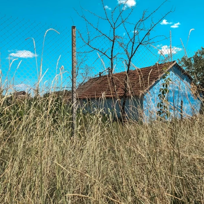 Top 10 Photography Tips for Capturing the Beauty of Moldova