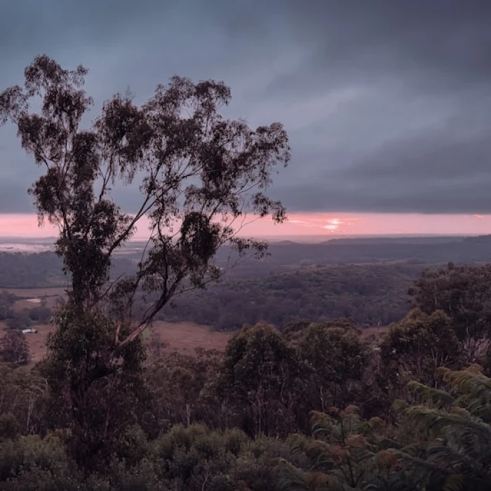 Discover Australia's Most Iconic Clock Towers: A Journey Through History and Architecture