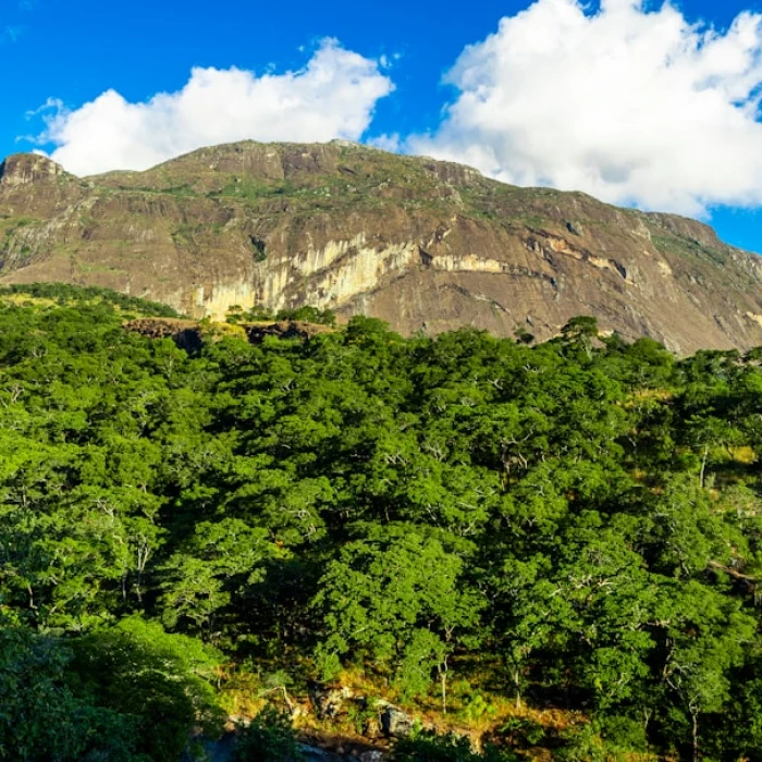 Discovering Malawi's Timeless Wonders: A Guide to Its Most Famous Clock Towers