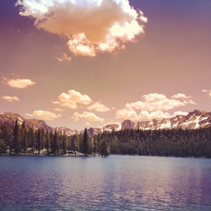 Ultimate USA Souvenir Guide: Top 10 Must-Buy Gifts & Keepsakes