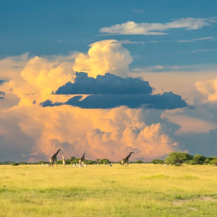 Haunted Botswana: Unveiling the Eerie Legends and Spooky Sites