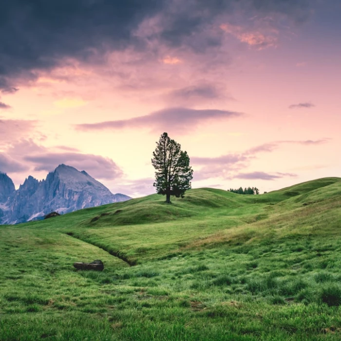 Europe on a Budget: Your Ultimate Guide to Finding the Best Accommodation Deals