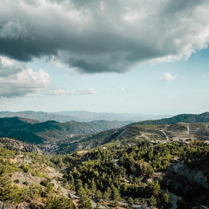 Unwind in Cyprus: The Best Public Parks and Gardens for a Tranquil Afternoon