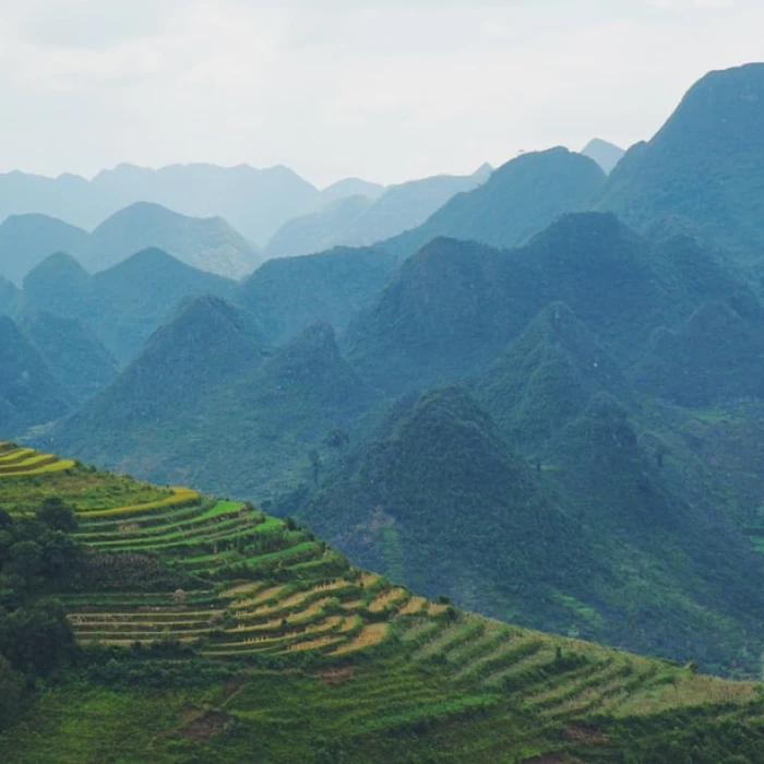 Vietnam Holiday Travel Guide: What to Expect During Peak Season