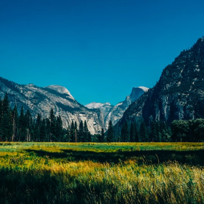 The Ultimate Guide to the Best Scenic Drives in the United States