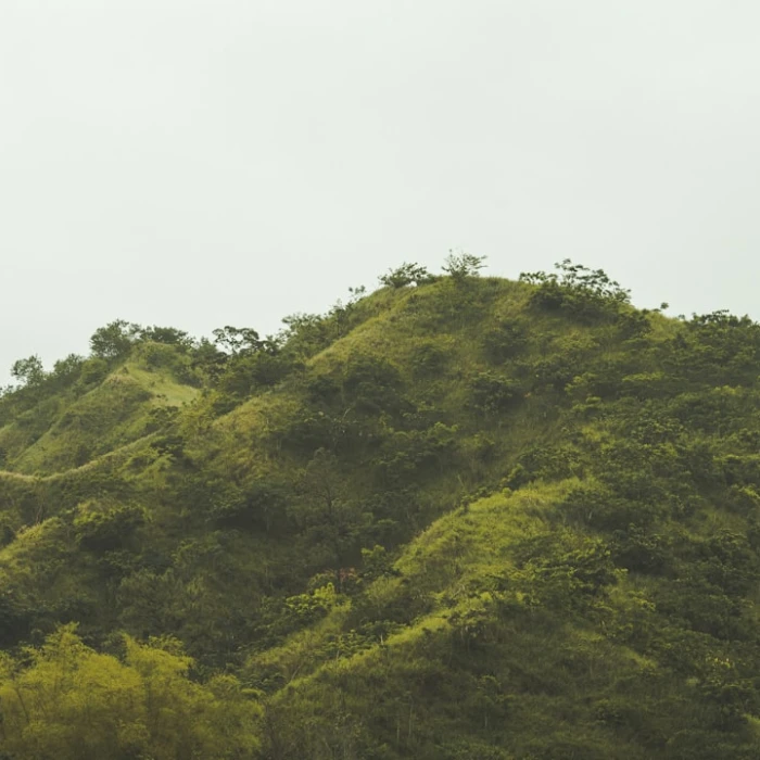 Your Essential Guide to Navigating Local Post Offices in Jamaica