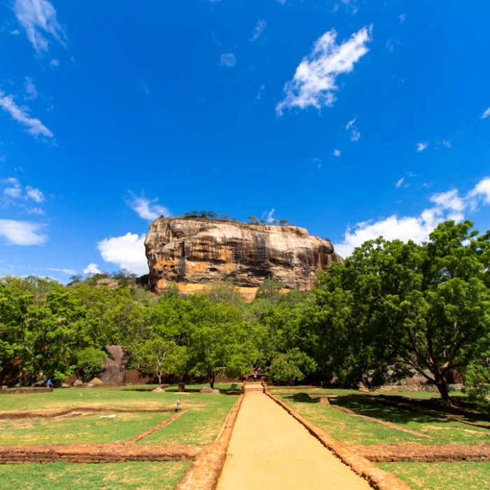 The Best Places to Experience Traditional Festivals in Sri Lanka
