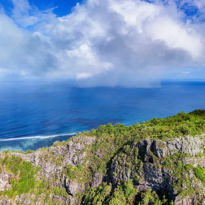 The Best Places for Bird Watching in Mauritius: A Birder's Paradise Awaits