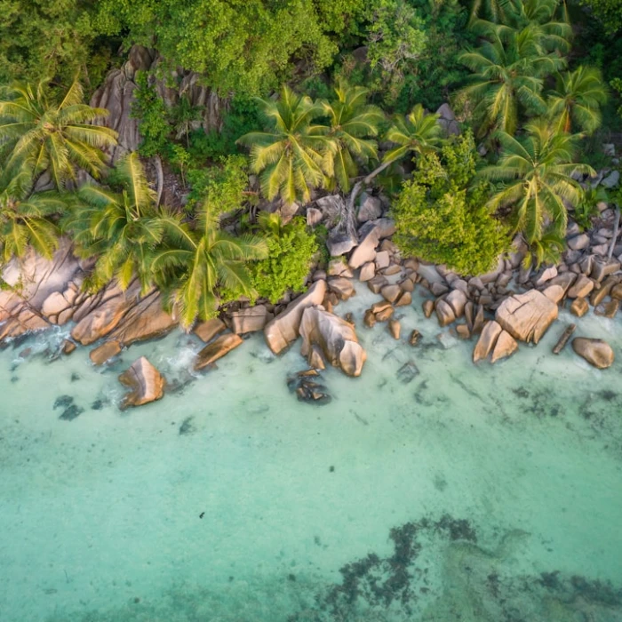 10 Facts About Seychelles That Will Surprise You