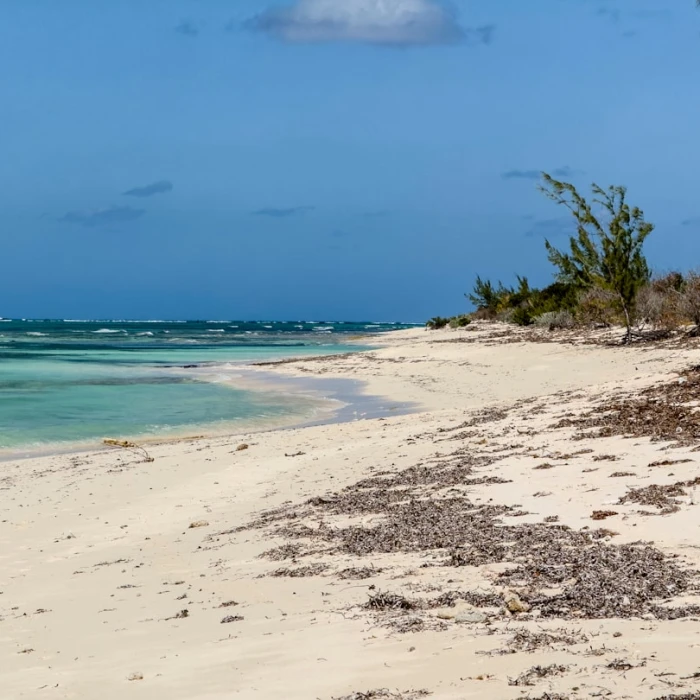 Top Morning Runs in Turks & Caicos: Scenic Routes for Every Runner