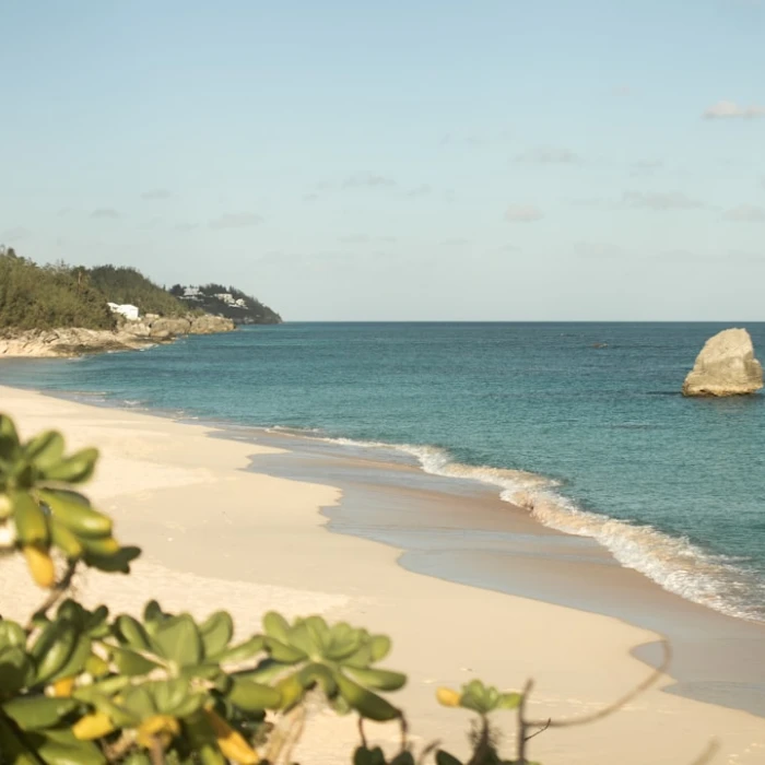Unveiling Bermuda's Secret Charms: Your Essential Guide to Its Most Enchanting Courtyards
