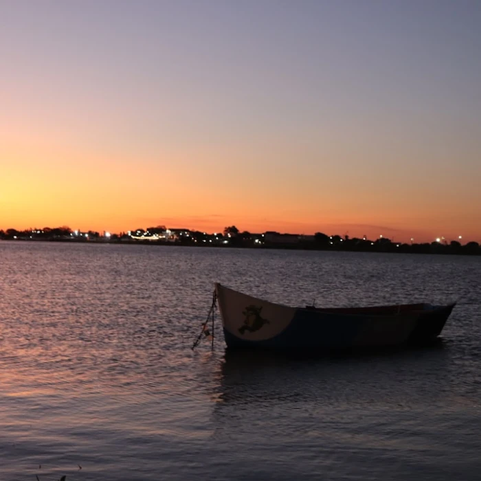 Paraguay's Hidden Beauty: The Most Scenic Ferry Rides You Must Experience
