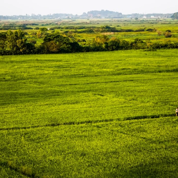 Unplug & Recharge: Top Digital Detox Destinations in Cambodia