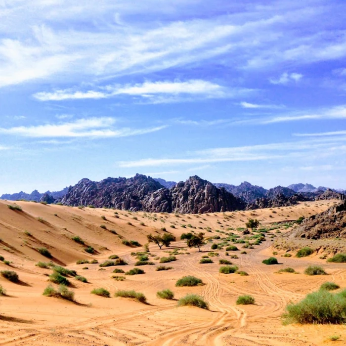 How to Visit Saudi Arabia on a Solo Female Traveler’s Budget