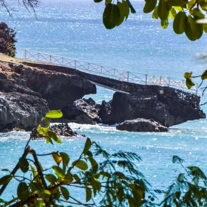 Discover Trinidad & Tobago: Unforgettable Hiking and Adventure on the Caribbean's Most Scenic Trails