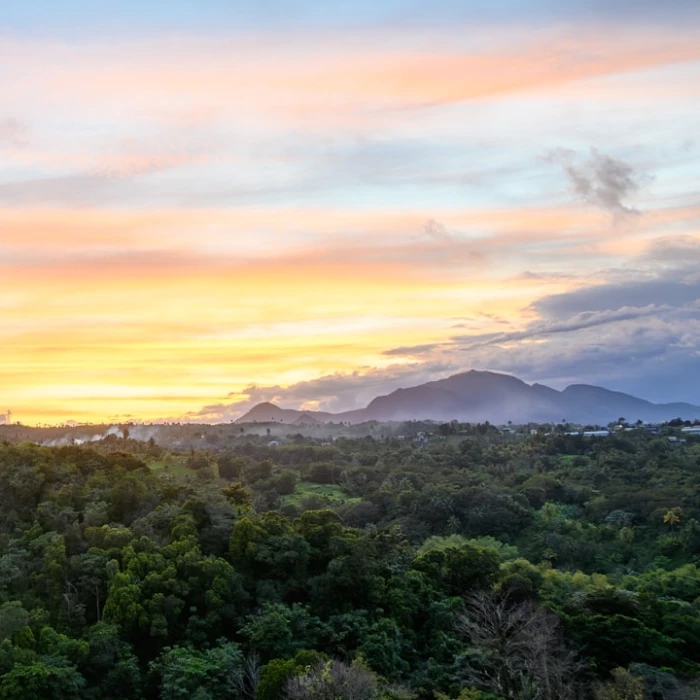 Your Ultimate Guide to Using Vending Machines in Dominica