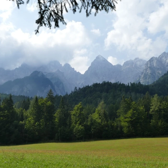 The Best Places to Experience Traditional Festivals in Slovenia