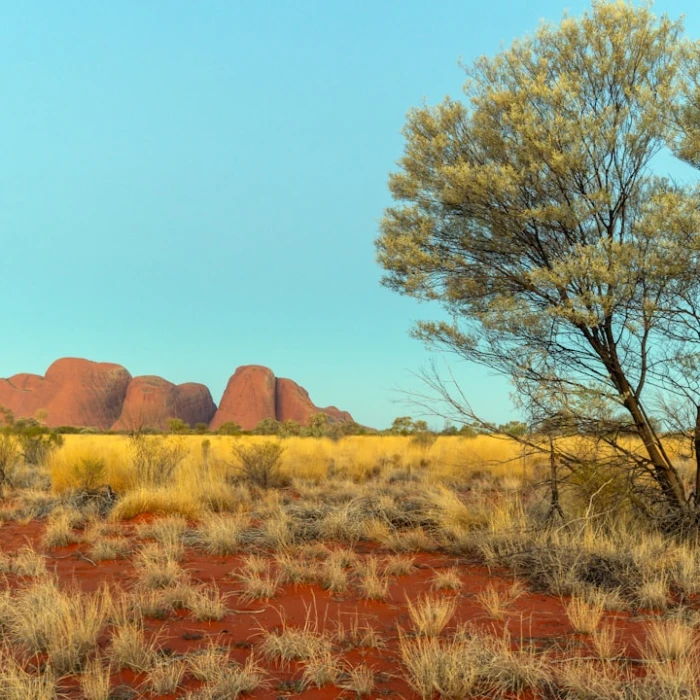 Discover Australia's Sacred Spaces: A Guide to Religious Landmarks and Temples