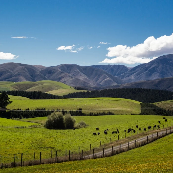 Discover New Zealand's Most Vibrant & Colorful Towns | A Traveler's Guide