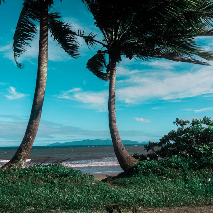 Fiji Accommodation Guide: Where to Stay for Your Perfect Island Getaway