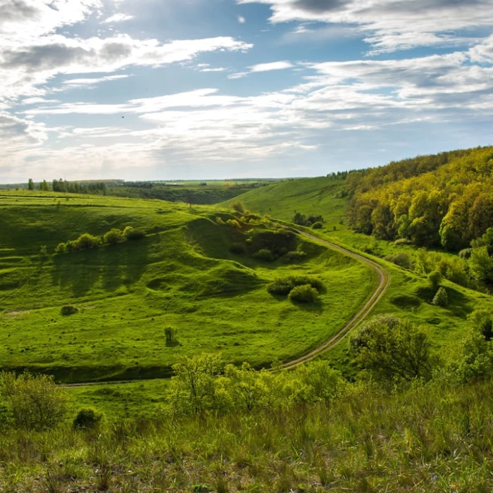 Unveiling the Ultimate Wellness Retreats and Spas in the Russian Federation: Your Guide to Rejuvenation