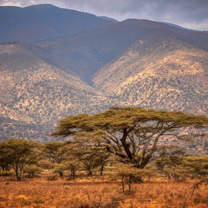 Discover the Vibrant Traditional Dress & Costumes of Tanzania