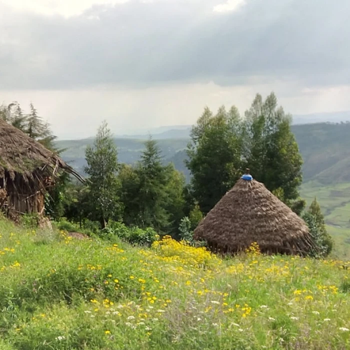 Discover Ethiopia's Dynamic Street Art Scene: Your Ultimate Urban Explorer's Guide