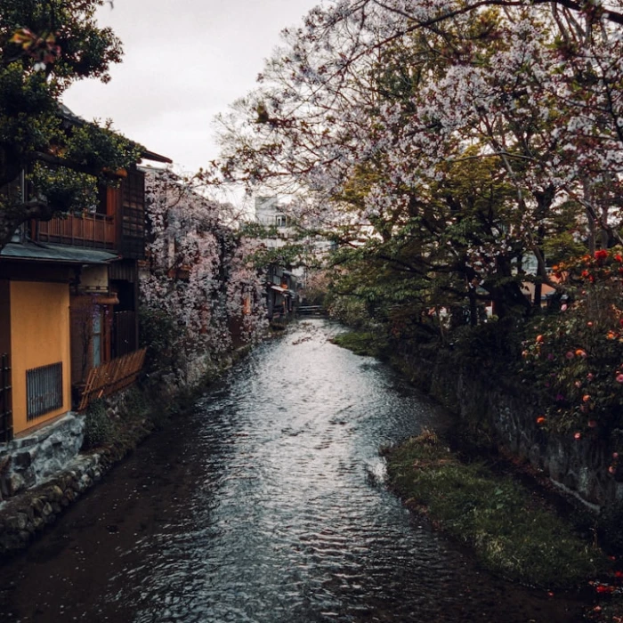 Uncover Japan's Flavor Secrets: A Guide to Local Spice Markets