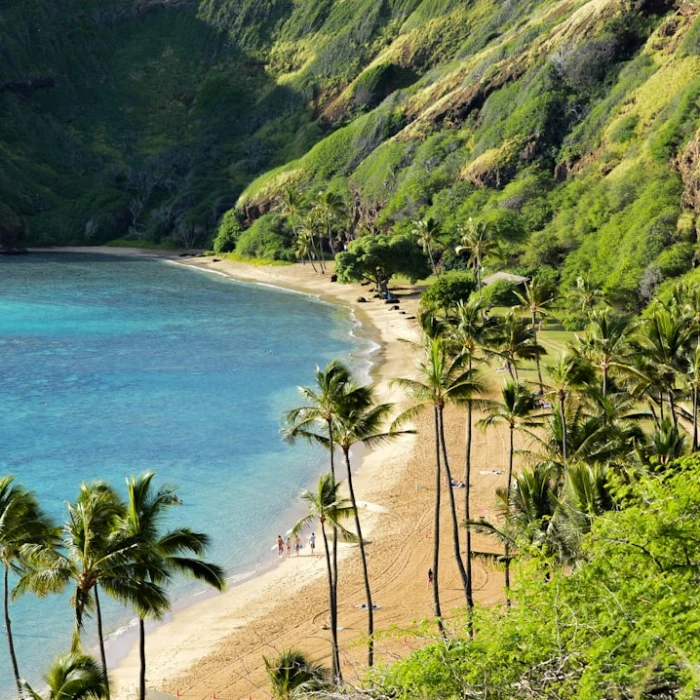 Traveling Hawaii with Kids: Unforgettable Family Adventures Await!