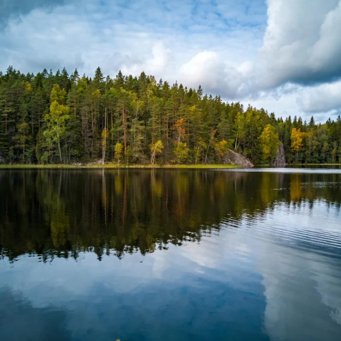 A Guide to the Traditional Dress and Costumes of Finland