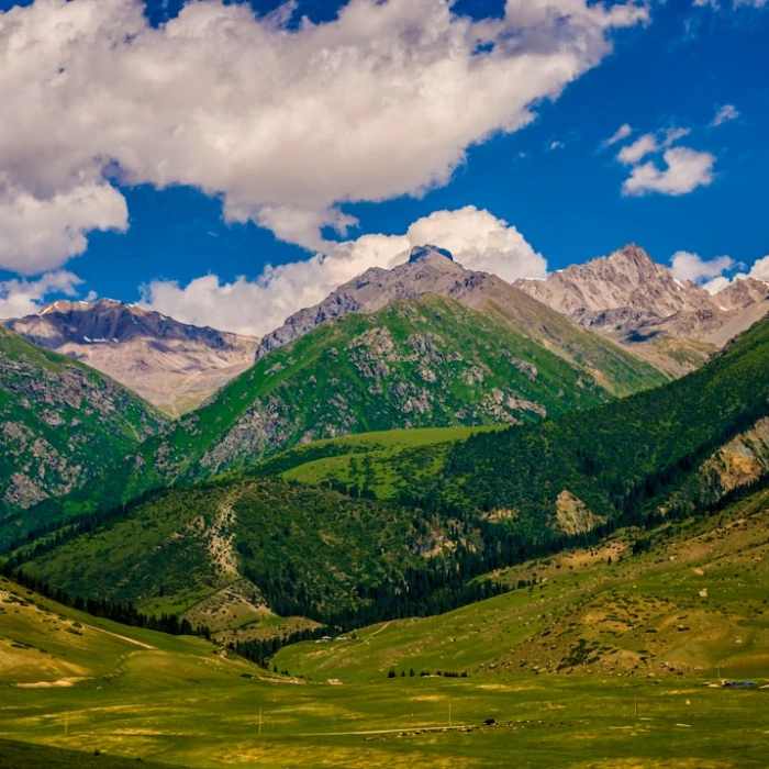 Navigating Kyrgyzstan: Your Essential Guide to Local Public Transport Apps