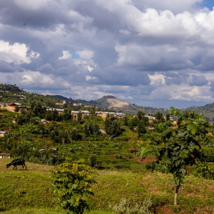 Mastering Rwanda Photography: Top 10 Tips for Capturing Stunning Shots