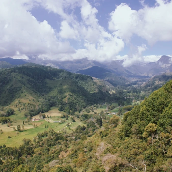 Your Essential Guide to Tipping in Colombia: Culture, Etiquette & Service Fees