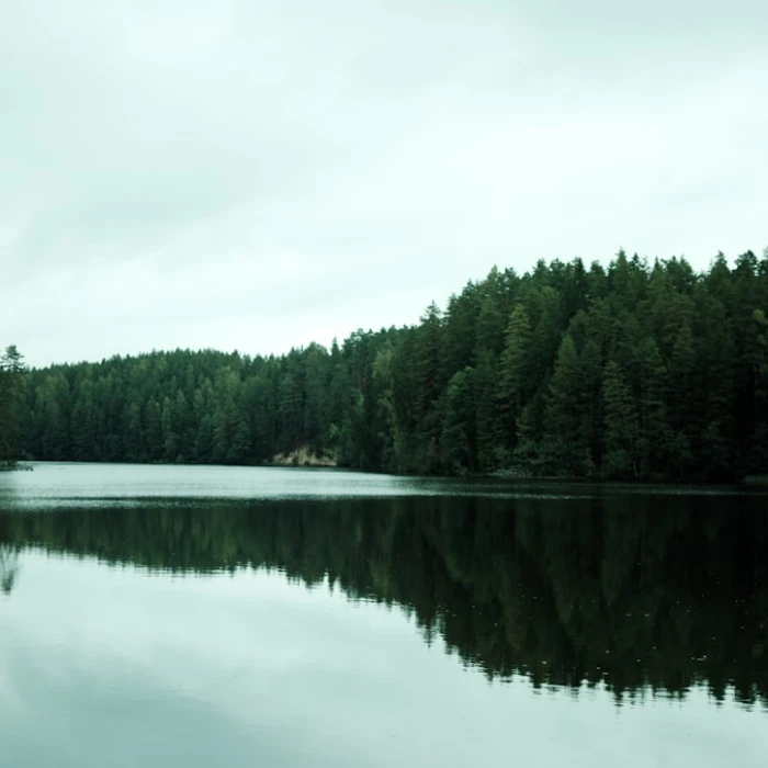 The Best Places for a Picnic with a View in Estonia