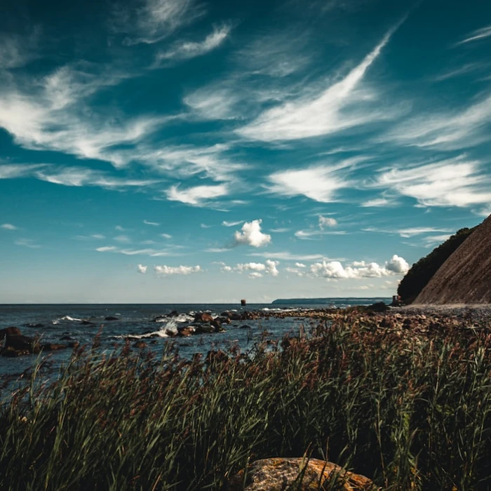 Discover Jersey's Top Bird Watching Spots: An Ultimate Guide for Enthusiasts