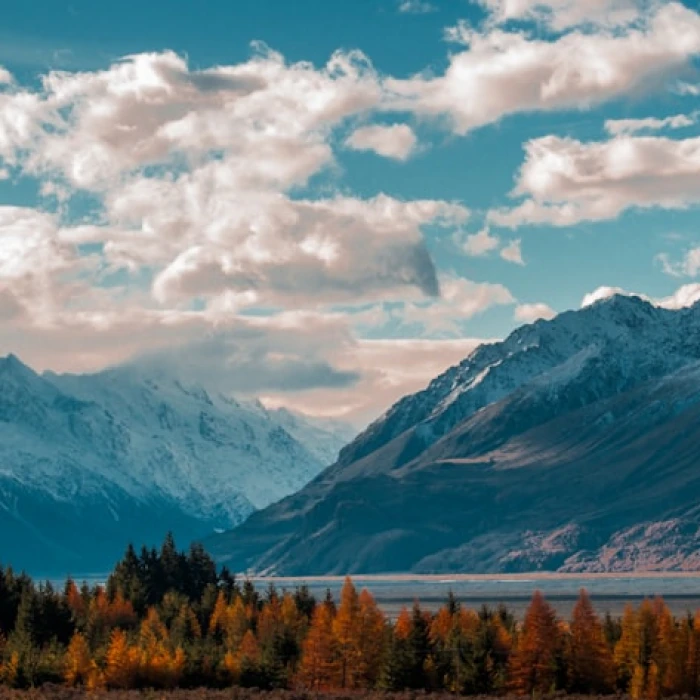 Conquer the Heat: Your Ultimate Guide to a Sizzling Summer Visit at Global