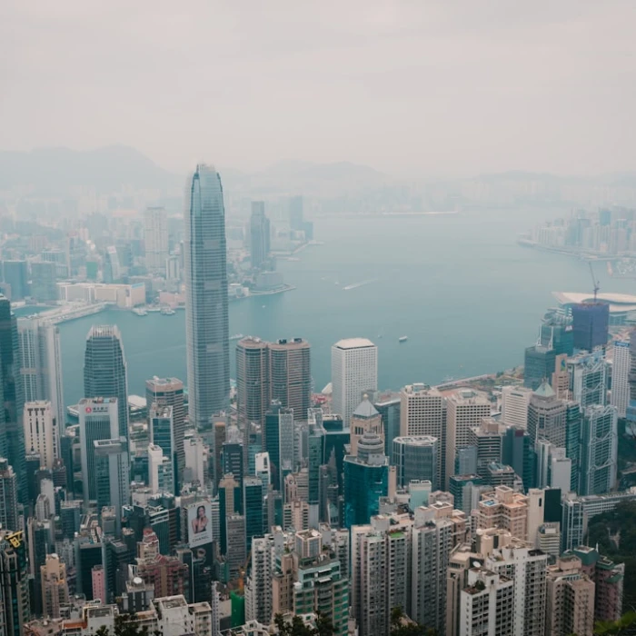 Unforgettable Encounters: Your Guide to Whale & Dolphin Watching in Hong Kong