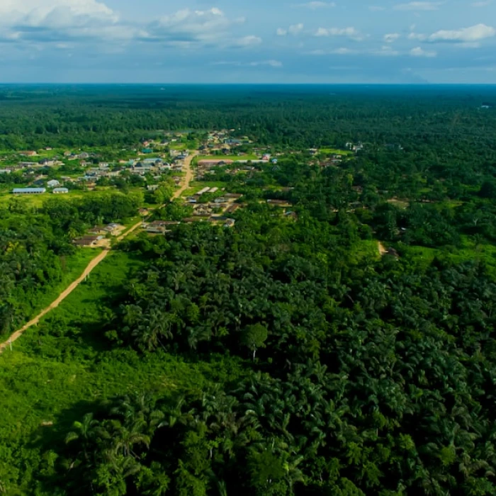 Discover Nigeria: Your Ultimate Guide to the Best Neighborhoods for an Unforgettable Stay
