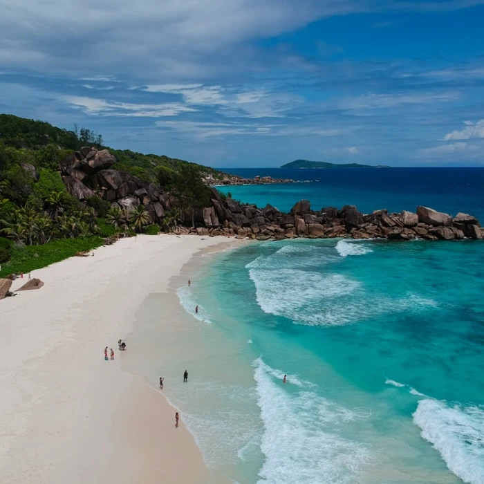Indulge Your Senses: Discovering Seychelles' Top Local Chocolate Shops