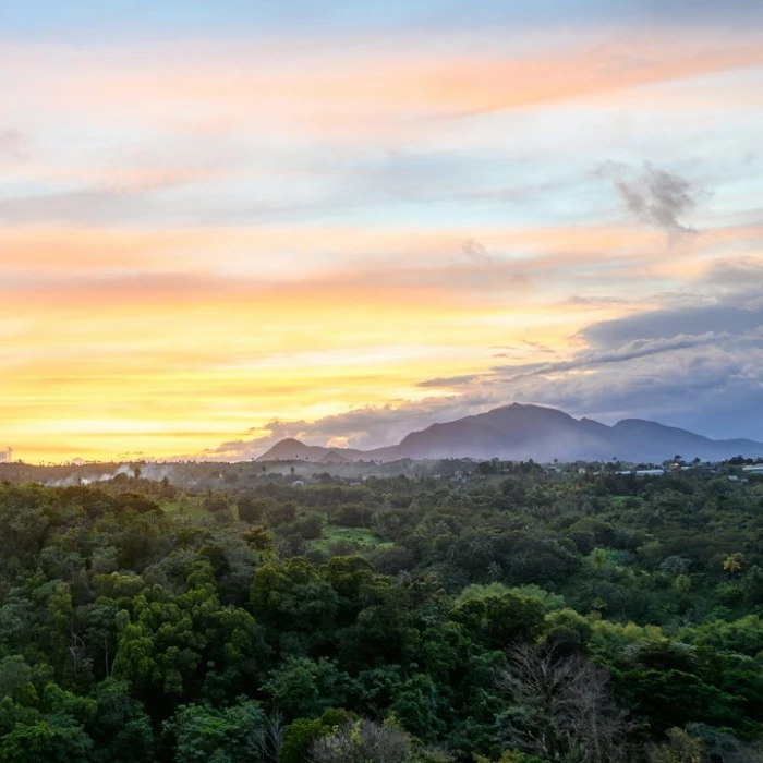 Top 7 Hidden Gems in Dominica You Won't Find in Guidebooks