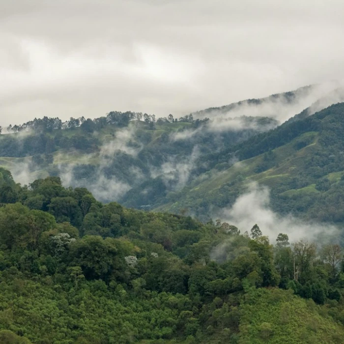 Discover Colombia's Best Stargazing & Night Photography Spots
