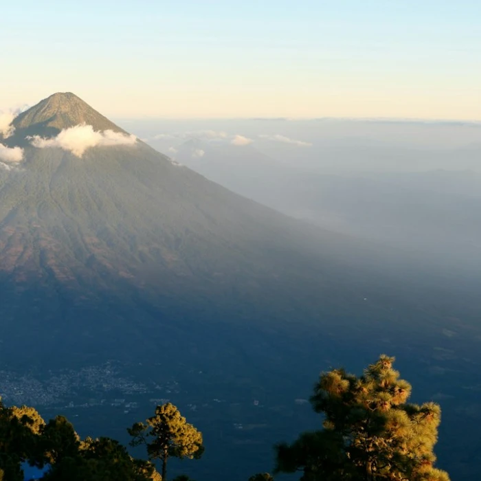The Best Places for Bird Watching in Guatemala: A Birder's Paradise