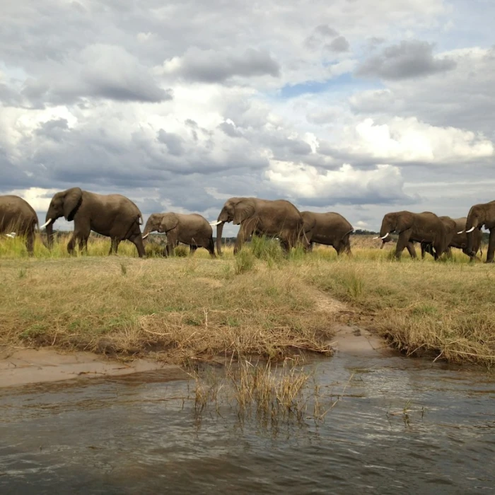 Where to Stay in Zambia: Ultimate Guide to Top Neighborhoods & Safari Lodges