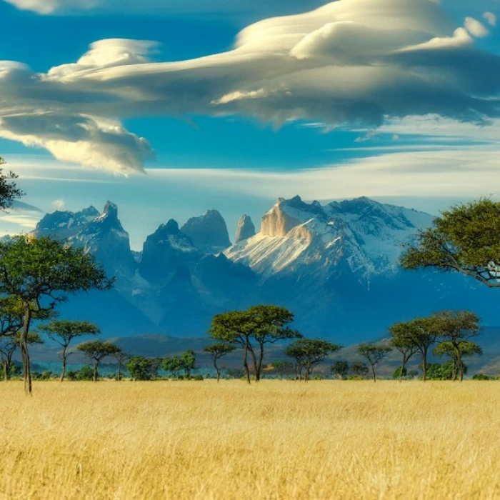 Discover Kenya's Coastal Charms: Top Scenic Ferry Rides for Breathtaking Views