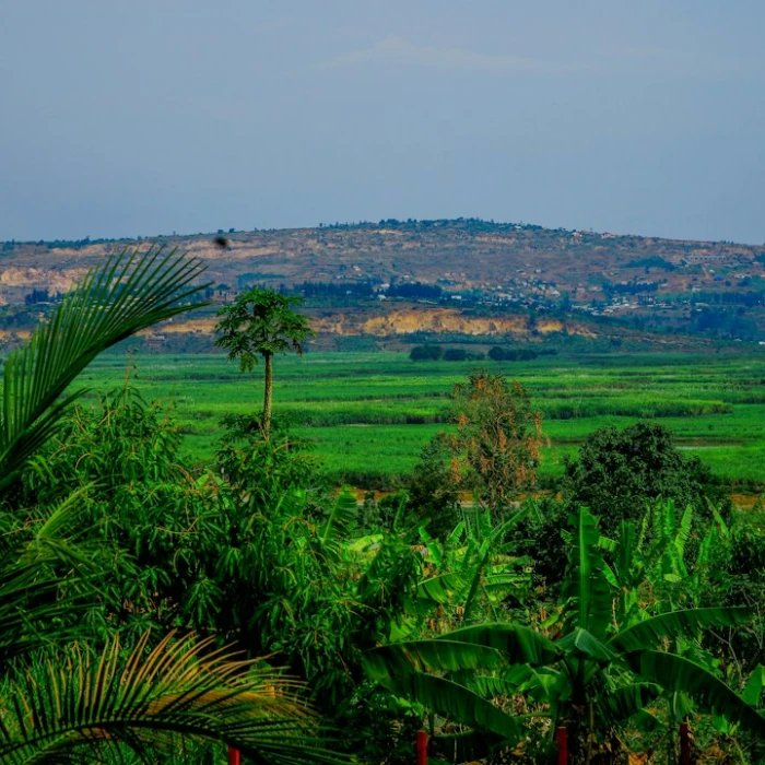A Guide to the Most Unusual Festivals in Rwanda