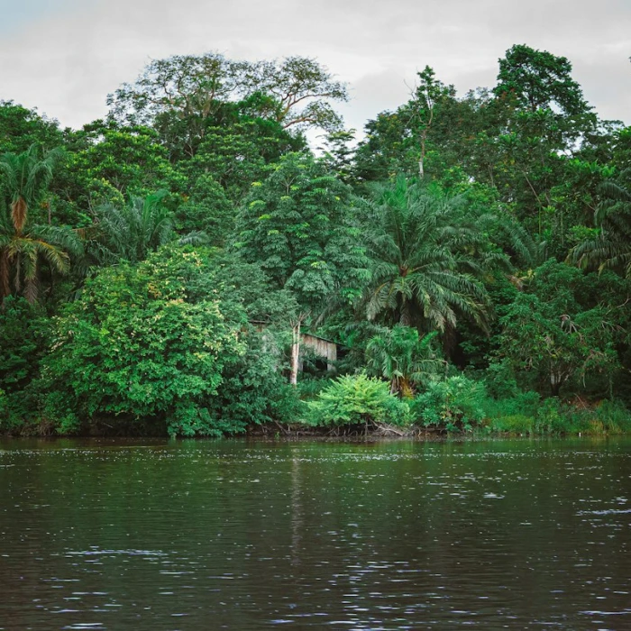 Discover Tranquility: Top Silent Retreats in Gabon for Ultimate Peace