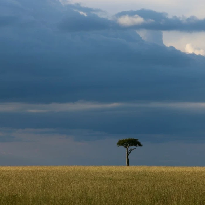 Unforgettable Honeymoons: Discover Kenya's Most Romantic Destinations
